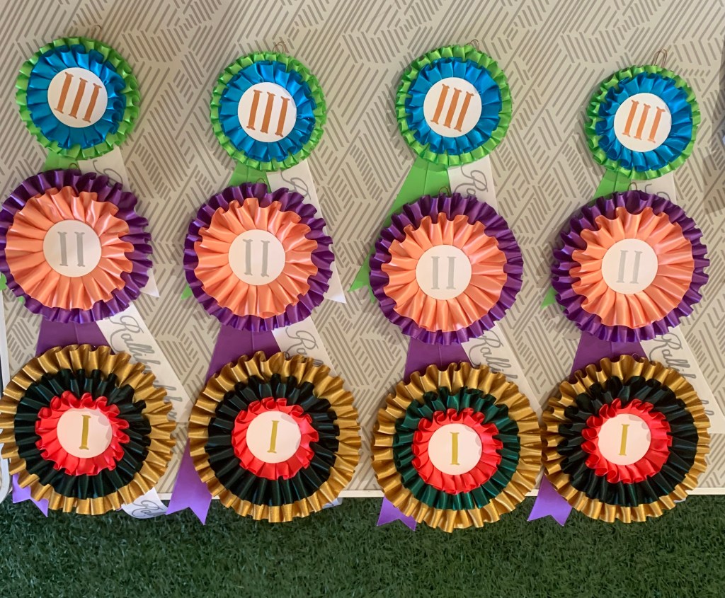 Topdogi RK võistlus