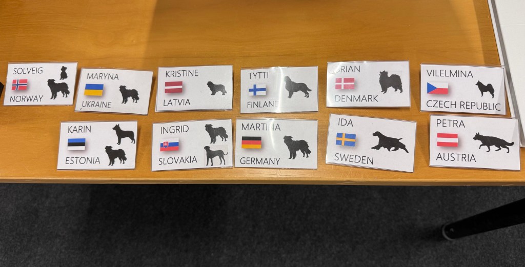 FCI rallikuulekuse komisjoni koosolek