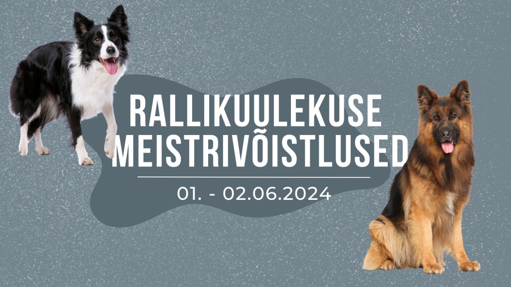 Eesti Rallikuulekuse Meistrivõistlused 2024