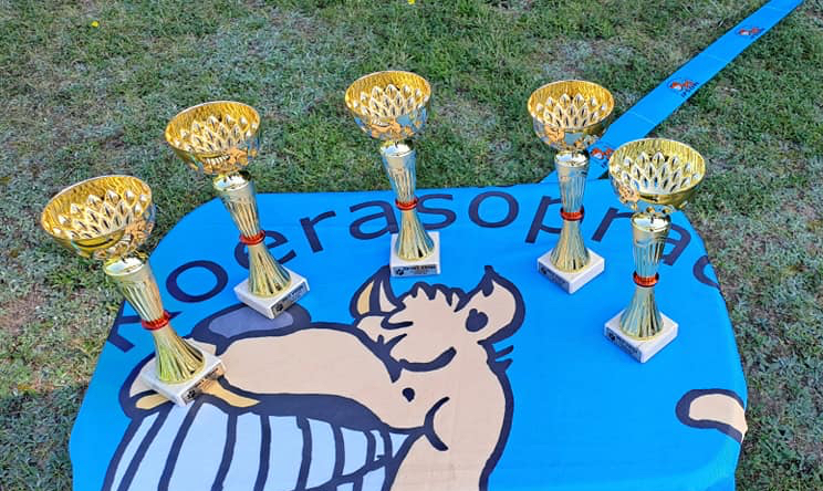 Ipsoni sünnipäevaralli!