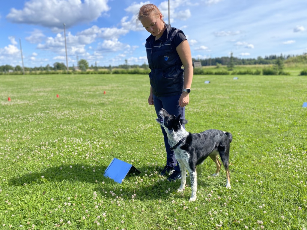 Basic Position in Rally&nbsp;Obedience