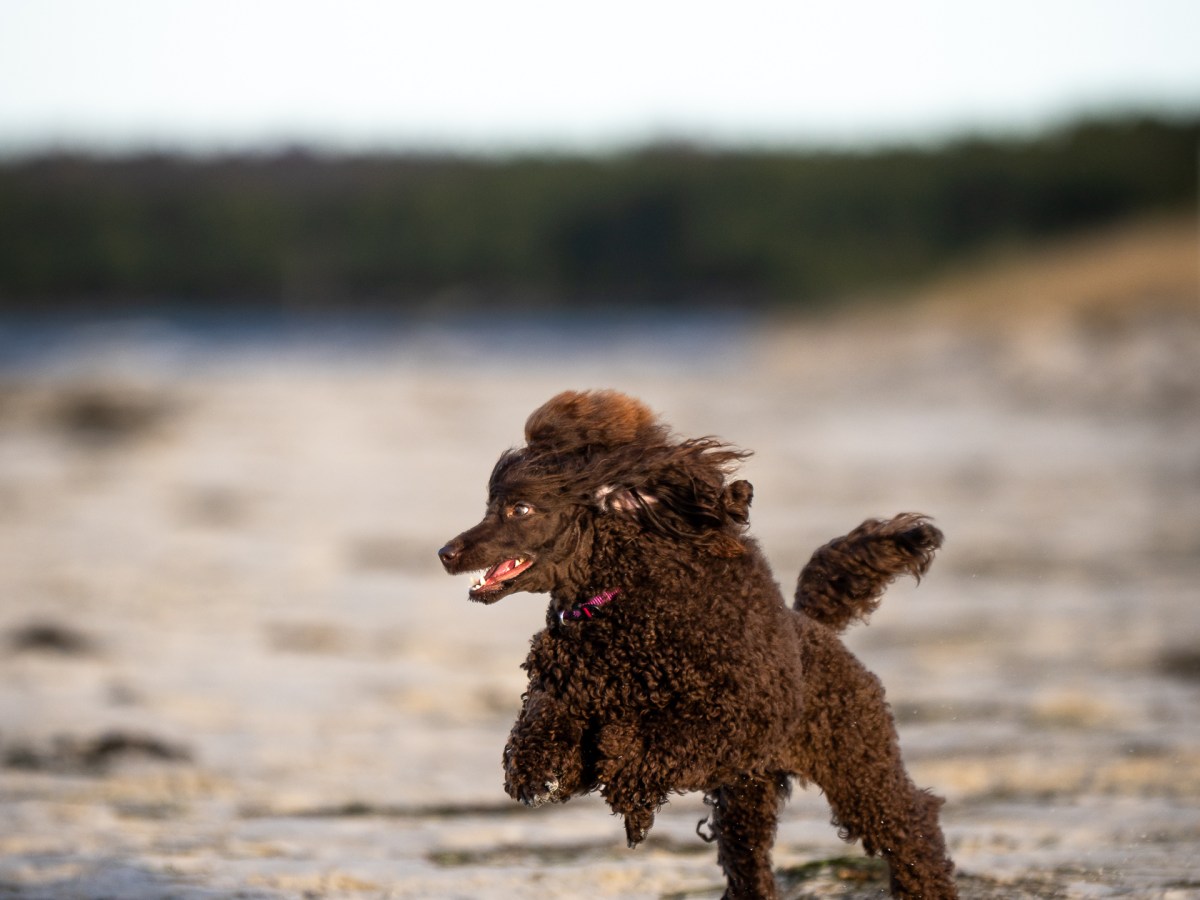 Della sai 1&nbsp;aastaseks