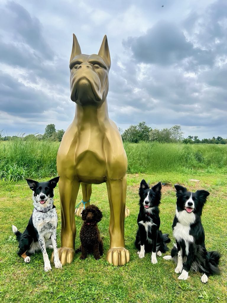 Mind the Dog’i laager Itaalias